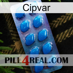 Cipvar viagra1